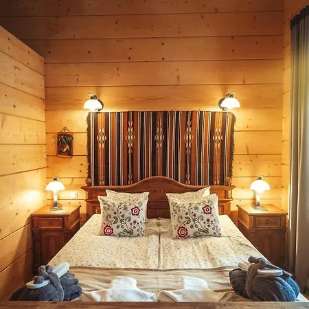 Konstantynowka מלון *